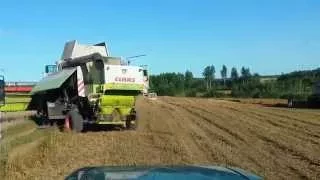 Claas Lexion 580 ; 480 / Zirņu kūlšana / Pea Harvest / Уборка гороха 2015