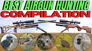 THE BEST AIR GUN HUNTING COMPILATION EVER I CENTRE FIRE AND AIRGUN HUNTING 2021