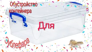 Как правильно обустроить контейнер для эублефара🦎🦎🦎