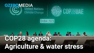 COP28: Why farmers need to be front and center in climate talks | Sustainability | GZERO Live