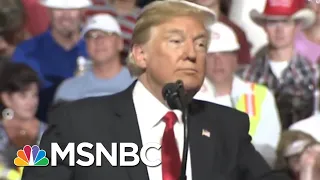 President Donald Trump: “I Guess I Speak Well” | All In | MSNBC