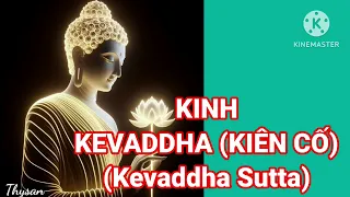 Kih KEVADDHA (KIÊN CỐ) (Kevaddha Sutta)