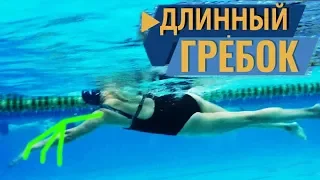 Детальный разбор техники плавания кролем. Баланс, дыхание, гребок