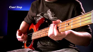 Top 10 EASY Red Hot Chili Peppers Basslines For ANY BEGINNER Bassist