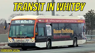 Transit in Whitby (February 2024)