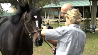 How We Buy a Racehorse for West Point Thoroughbreds Partnerships