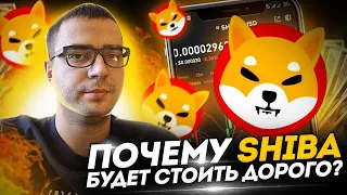 Почему SHIBA будет расти и удивит всех? DOGE поможет.