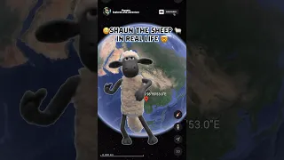 Shaun the Sheep 🐑 in real life on Google Earth #shorts #googleearth #exploresandadventure #viral