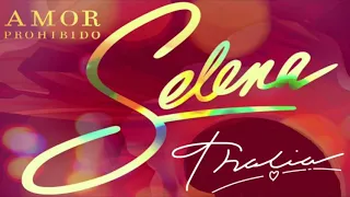 Selena - Amor Prohibido Feat. Thalía By IgnisFire