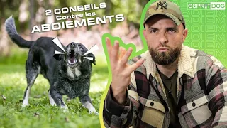 2 CONSEILS contre les ABOIEMENTS de votre chien !