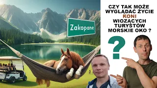 🐴Konie ma morskim oku. 🚙 Czy można je zastąpić i dać im odpocząć? 🙂