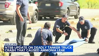 5 killed in Illinois semi crash, ammonia leak ID'd