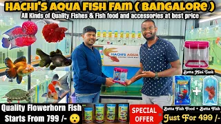 Quality Flowerhorn🐠 Fish Starting From ₹799😯 | HACHI'S AQUA FAM BANGALORE | At Best Price