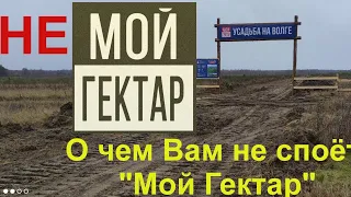 Мой гектар. Усадьба на Волге. О чем не расскажет менеджер по продажам...