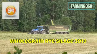 Silage 2019 | New Holland FR600 forager in wholegrain rye silage