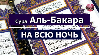 Сура Аль Бакара! На всю ночь. Очень красивое чтение Корана!