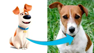 The Secret Life of Pets CHARACTERS IN REAL LIFE