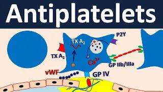 Antiplatelets - Pharmacology in easy way