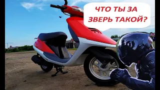 Хонда Такт 24! Честный Тест Драйв!