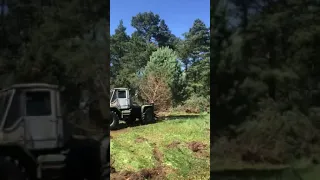 Корчувач дерев до трактора Т150 - корчування в лісі