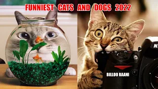 Funniest Cats and Dogs 2022 | OMG So Cute ♥ Best Funny Cat Videos 2022 | @PETS LAND PART 3
