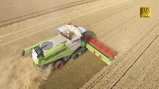 Комбайн CLAAS LEXION 780 Terra Trac Fendt урожай пшеницы biggest combine harvester урожай пшеницы