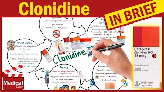 Clonidine 0.1 mg (Catapres): What Is Clonidine Used For? Uses, Dosing and Side Effects of Clonidine