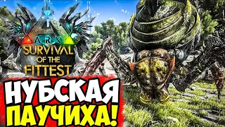 ПАУЧИХА НЕ ИМБА В ГОЛОДНЫХ ИГРАХ ARK!!! САМЫЙ СЛАБЫЙ БОСС В ARK Survival Of The Fittest!