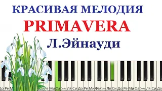 Primavera Людовико Эйнауди. Красивая мелодия. Простая версия на пианино