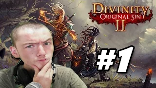 Let's Play Divinity Original Sin 2 - #1 Welcome to the Fort Joy