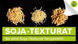 So wird Soja-Texturat hergestellt