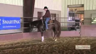 Training Your Horse To Spin - Part 1