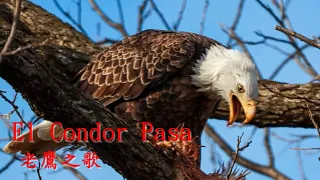 El Condor Pasa --Andy Williams 老鷹之歌【中英字幕】