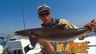 Tampa Bay Inshore Redfish Fishing with CA Richardson Flats Class TV