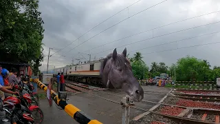 Dangerous Angry MAD Horse Headed JAN Shatabdi Express Stormy Honking Moving Out At Railgate