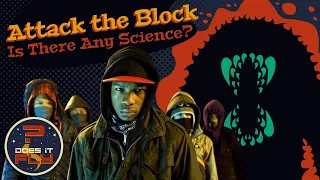 The Central Question of an Underrated Modern Sci-Fi Classic! | Attack The Block