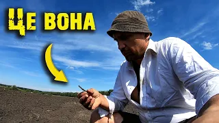 Found what I was looking for! Search with a minelab equinox 800 metal detector in Ukraine