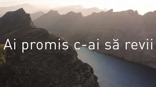 Ai promis c-ai să revii (Cover)| Familia Vasiu