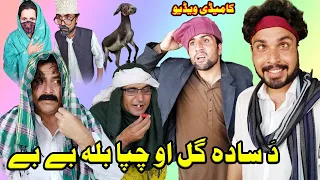 Da Sada Gul Ou Chapa Bala BeBe  Pashto Funny Video By Chapa Vines 2020