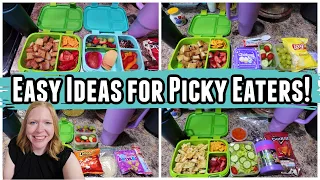 Lunch Box School Lunches | Picky Eater Approved!