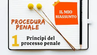 Procedura Penale - Capitolo 1: principi del processo penale