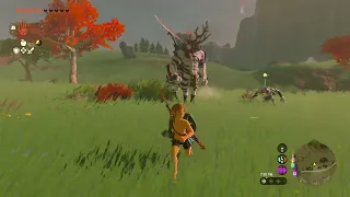 Friendly Lynel Tests