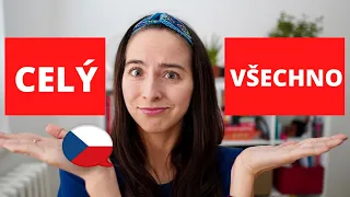 How to Express the Word "ALL" in Czech