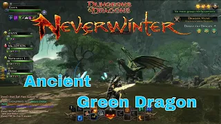 Neverwinter: Ancient Green Dragon (Guardian Fighter)