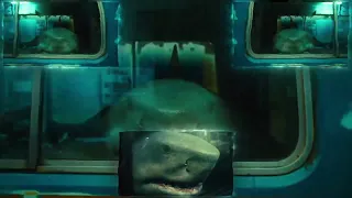 Preview 2 King Shark Bus Extended