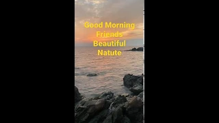 good morning friends beautiful nature by mohan relaxing music