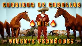 🔥MIX VICENTE FERNANDEZ🔥 CORRIDOS DE CABALLOS 🏇 🐎 🐴