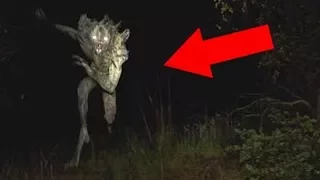 5 Giant Monsters Hidden in the Dark