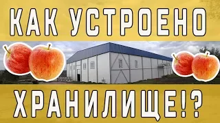 Как устроено хранилище под яблоки!?