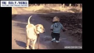 The Daily Nichee! - Ridiculous GIFs-with-Sound-Compilation moving gifs. 94